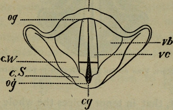 Rhiannon_and_Rachel_570_363