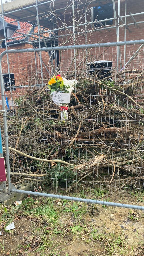 The bouquet of flowers is tied to a heras fence in front of a huge pile of broken and battered hedge that has been recently bulldozed on a new housing development. The hedge was in front of the houses acting as a screen from the road traffic and a resting point for birds.
