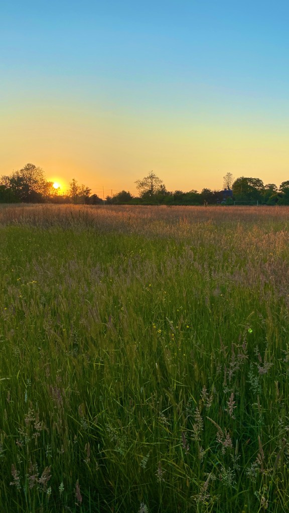 a wide view of a sunset over the green