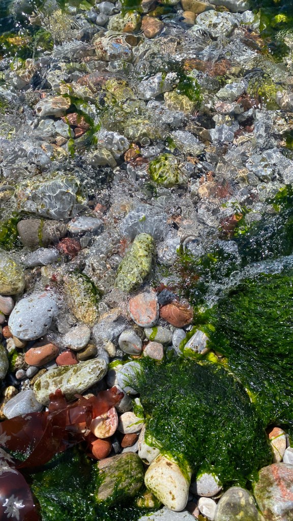 A close-up of the shoreline. You can see clumps of bubbles moving and fizzing through the seawater.